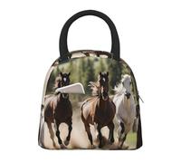 CPAQasg Bolsa de almuerzo con estampado de tres caballos corriendo, práctica bolsa de almuerzo aislada, bolsa de comida, trabajo, escuela, picnic, viajes, rutina diaria