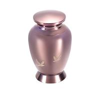 CPDDNGZMKK Memoriales para Mascotas Urna Cremación Adultos Acero Inoxidable Dos Tamaños Cenizas Café Oro Medallón Conmemorativo Ataúd Joyería Recuerdo con Caja Caja funeraria(L)