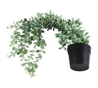 Cpolebev 1 Pieza Planta Colgante Artificial Planta Colgante de Eucalipto en Maceta Falsa para Pared, HabitacióN, Hogar, Patio, DecoracióN Interior y Exterior
