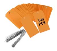 Cpolebev 100 Piezas de Etiquetas de EnvíO de PláStico de 4 3/4 Pulgadas X 2 3/8 Pulgadas con Cables Etiquetas de Etiquetado en Etiquetas Colgantes Impermeables (Naranja)