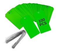 Cpolebev 100 Piezas de Etiquetas de EnvíO de PláStico de 4 3/4 Pulgadas X 2 3/8 Pulgadas con Cables Etiquetas de Etiquetado en Etiquetas Colgantes Impermeables (Verde)