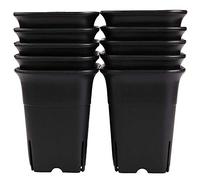 Cpolebev 12PCS-Pack Negro Square Plastic Maceta de Plantas Suculentas para Plantas Flores Cactus, Etc., Negro Nursery Flower Pot