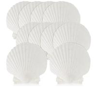 Cpolebev 15 Piezas de Conchas Marinas Naturales, Grandes, Blancas, de 4 A 4,7 Pulgadas, para Manualidades, Servir Comida, Hornear y MáS