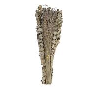 Cpolebev 15 Piezas de Tallos de Eucalipto Conservados Secos y Paquetes de Flores de Lavanda para Ducha, Planta de Ducha de Tallos de Hojas de Eucalipto de 17 Pulgadas