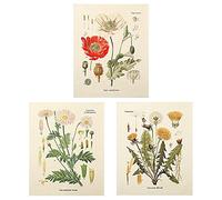 Cpolebev 3 Piezas de Tapiz de Flores para Colgar en la Pared, Planta de Flores Silvestres, Tapiz Floral, Tapiz PequeñO para Dormitorio, Sala de Estar (A + B + E)