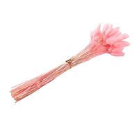 Cpolebev 60 Piezas de Flores Secas de OtoñO Colas de Conejo Flores Secas Lagurus Ovatus Hierba de de Conejo para Flores Secas (Rosa)