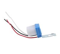 Cpolebev AC DC 12V 10a LáMpara AutomáTica Interruptor Crepuscular Sensor de Luz Interruptor Crepuscular