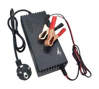 Cpolebev Cargador de Batería de Fosfato de Hierro Lifepo4 de 14,6 V y 10 A para Paquete de Batería de Fosfato de Hierro y Litio de 12,8 V y 4S con Enchufe Europeo
