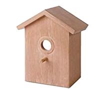 Cpolebev Casa para Pájaros con Ventana Exterior, Caja, Casa para Pájaros con Ventosa Fuerte