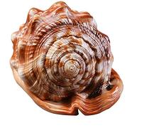 Cpolebev de Boca de Natural Concha Concha Coral Pecera de Caracol de Mar Adornan Adorno 1 Unids