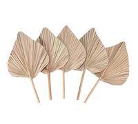Cpolebev DecoracióN de HabitacióN con Hojas de Palma Secas, 5 Piezas, 18 Pulgadas de Alto X 10 Pulgadas de, DecoracióN Grande de Hoja de Palma Natural para un Hermoso Aspecto Bohemio