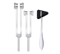 Cpolebev DipasóN NeurolóGico, 128 Hz + 256 Hz Plateado, Diapasones Ponderados por el Cuerpo de AleacióN de Aluminio para el Juego de Chakras Curativos
