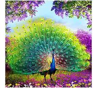 Cpolebev DIY Diamante Pintura de Diamante Bordado Redondo Resina Diamante Punto de DecoracióN de la Pared del Hogar 30X30 Cm, Pavo Real