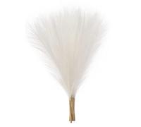 Cpolebev Faux Pampas Grass, 18Pulgada/45Cm Artificial Pampas Grass 5 Stem Pompous Grass Arreglo Floral para ()