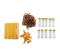 Cpolebev Kit De Copa De Apicultura 120 Copas De CÉLulas De Abeja Conjunto De Herramientas De Crianza De La Reina Nicot Abeja Jaula Del Colector Ayudante De Apicultura