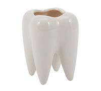 Cpolebev Maceta De Cerámica en Forma De Diente Modelo De Dientes Jardinera De Diseño Moderno Mini Maceta De Escritorio Regalo (Sin Plantas)