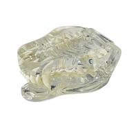 Cpolebev Modelo AnatóMico de Dientes Caninos Transparentes, Animales Dentales, MandíBula Oral para Herramienta Educativa Veterinaria (Perro)
