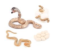 Cpolebev Modelo BiolóGico del de Crecimiento de Animal Realista Juguetes Modelo BiolóGico de Crecimiento de la Serpiente de Crecimiento de la Cobra