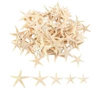 Cpolebev Pequeño Estrella de Mar Concha de Mar Estrella de La Playa 0.4 Pulgadas-1.2 Pulgadas Piezas