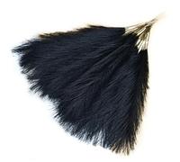 Cpolebev Ramo de Pampas de CañA Artificial, Hierba de Pampas Artificial de 16,9 Pulgadas, Hierba de Pampas, DecoracióN, Negra