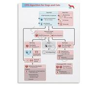 CPR Algorithm for Veterinary Professionals Poster Emergency First Aid Guide Educational Reference Chart Canvas Print for Animal Hospital(Unframed,08x12inch(20x30cm))