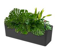 CPROSP 40 cm Jardinera Rectangular Autorriego con Indicadores de Nivel | De Agua; Autorriego Maceta; Jardinera de Riego Maceta Auto para Exteriores, Techos, Balcones Negro
