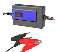 CPTDCL Mantenedor automático de desulfatador de batería para revivir y regenerar GEL AGM SLA Batería de plomo ácido 400 AH 12 V (12-48 V 200 AH BIG CLAMP AZUL)