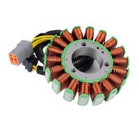 CQadsDyrx Bobina De Estator De Magneto para Generador Compatible con Lynx Pro V-800 V800 2007 2008 2009 2010 2011 2012 Rave RE 800 R