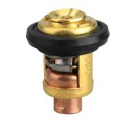 CQadsDyrx Termostato 60 Grados 66M-12411-00 66M-12411-01 Compatible con Motor de Barco F5-F15 de 4 Tiempos