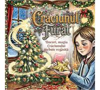 Crăciunul Furat: A Romanian Children’s Story Helping Kids Understand Divorce, Emotions and Two Homes
