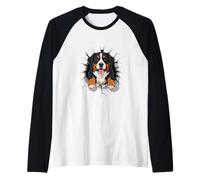 Cracked Wall Bernese Mountain Dog Camiseta Manga Raglan
