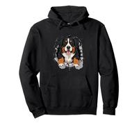Cracked Wall Bernese Mountain Dog Sudadera con Capucha