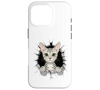Cracked Wall Egyptian MAU Carcasa para iPhone 16 Pro