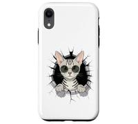 Cracked Wall Egyptian MAU Sunglasses Carcasa para iPhone XR