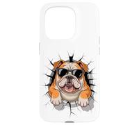 Cracked Wall English Bulldog Sunglasses Carcasa para iPhone 15 Pro