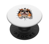 Cracked Wall English Bulldog Sunglasses PopSockets PopGrip Adhesivo