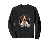 Cracked Wall German Shorthaired Pointer GSP Sudadera