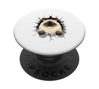Cracked Wall Himalayan Cat PopSockets PopGrip Adhesivo