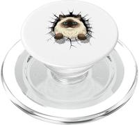 Cracked Wall Himalayan Cat PopSockets PopGrip para MagSafe