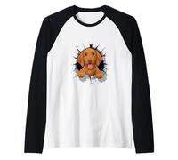 Cracked Wall Hungarian Vizsla Magyar Vizslas Camiseta Manga Raglan