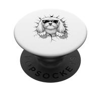 Cracked Wall Maltese Sunglasses PopSockets PopGrip Adhesivo