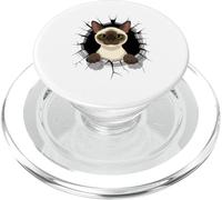 Cracked Wall Siamese Meezer Cat PopSockets PopGrip para MagSafe