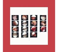 Cradle the - Laughing In My Sleep (LP) [Vinilo]