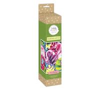 Craft Planet Diamond Art Manualidades Pintura con Diamantes Adultos, Multicolor, 48x36 cm