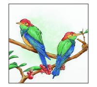 Crafter's Companion Marcadores de acuarela de doble punta Aqua - Vivid Nature de Spectrum Noir