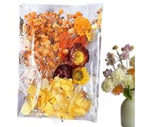 Crafts with Flowers - Mix de Flores prensadas 20 variedades | Decoración de Tarjetas de Boda con Flores secas, versátil para Diario | Decoración de Fotos Floral | CAM
