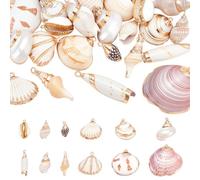 CRAFTYMELODY 24 piezas 12 estilo concha natural charms diferentes playa concha cauri colgante colgante verano océano colgante encantos