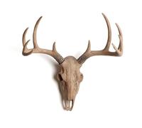 CráNeo de Ciervo Falso para Pared, DecoracióN de Paredes con Astas de Resina, Alternativa Vegana a La Taxidermia Sin Crueldad Animal(Khaki)