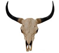 Cráneo de decoración toro 45 cm hwc-t454, Polyresin, escultura, cuernos larga, interior/Plein Air - Naturaleza