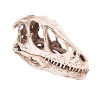 Cráneo de dinosaurio de resina, modelo de calavera de dinosaurio de resina, esqueleto de animal simulado, decoración de oficina en el hogar, accesorio de enseñanza, decoración del hogar, decoración